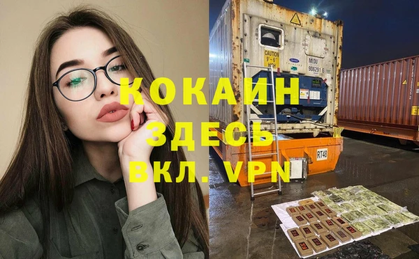 СК Снежногорск