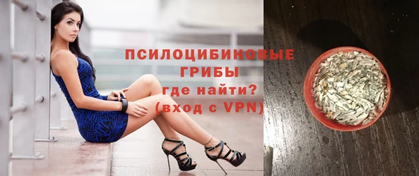 spice Сосновый Бор