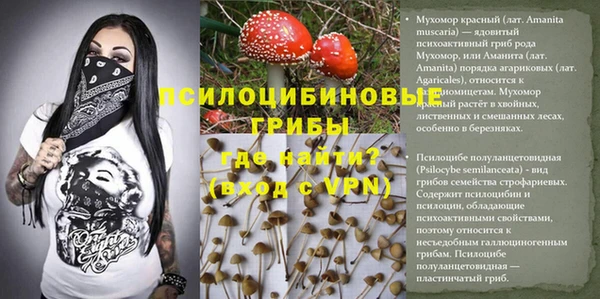 каннабис Слюдянка