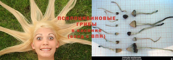 каннабис Слюдянка