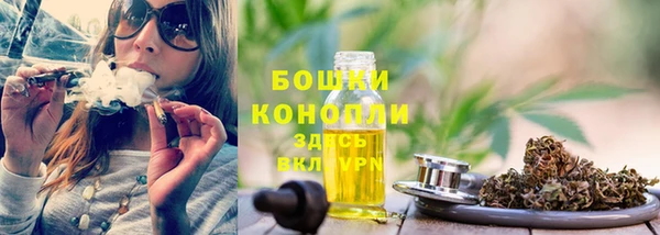 СК Снежногорск